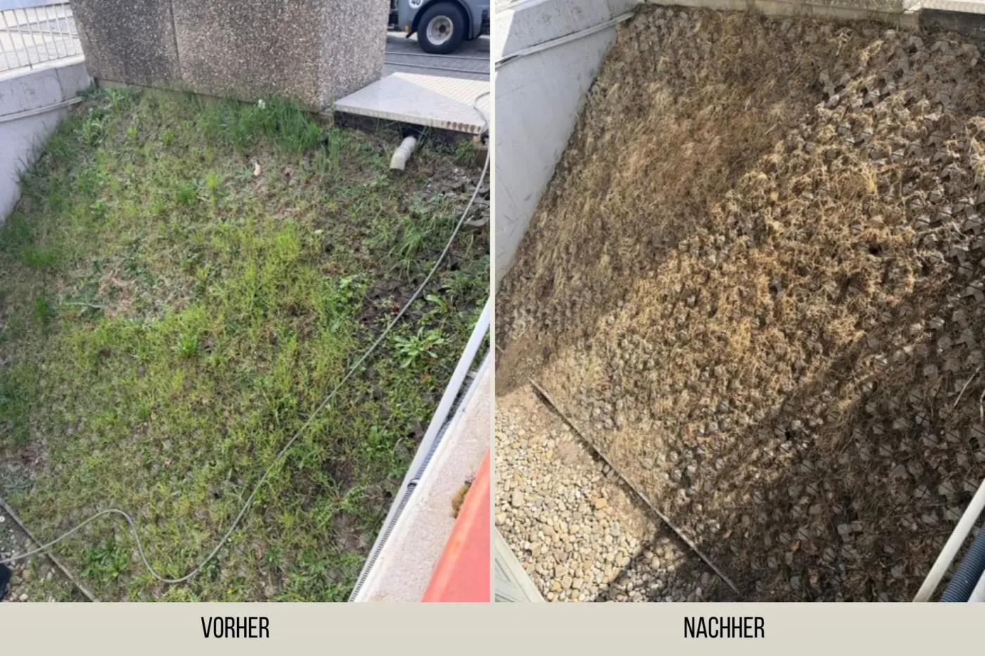 Fläche vor und nach der Unkrautbekämpfung mit Heißwasser