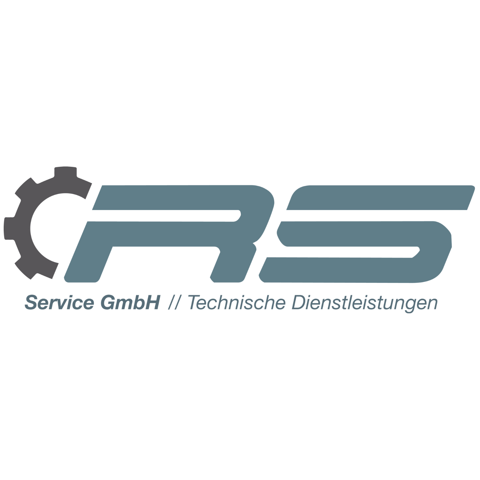 RS Service GmbH & Co. KG